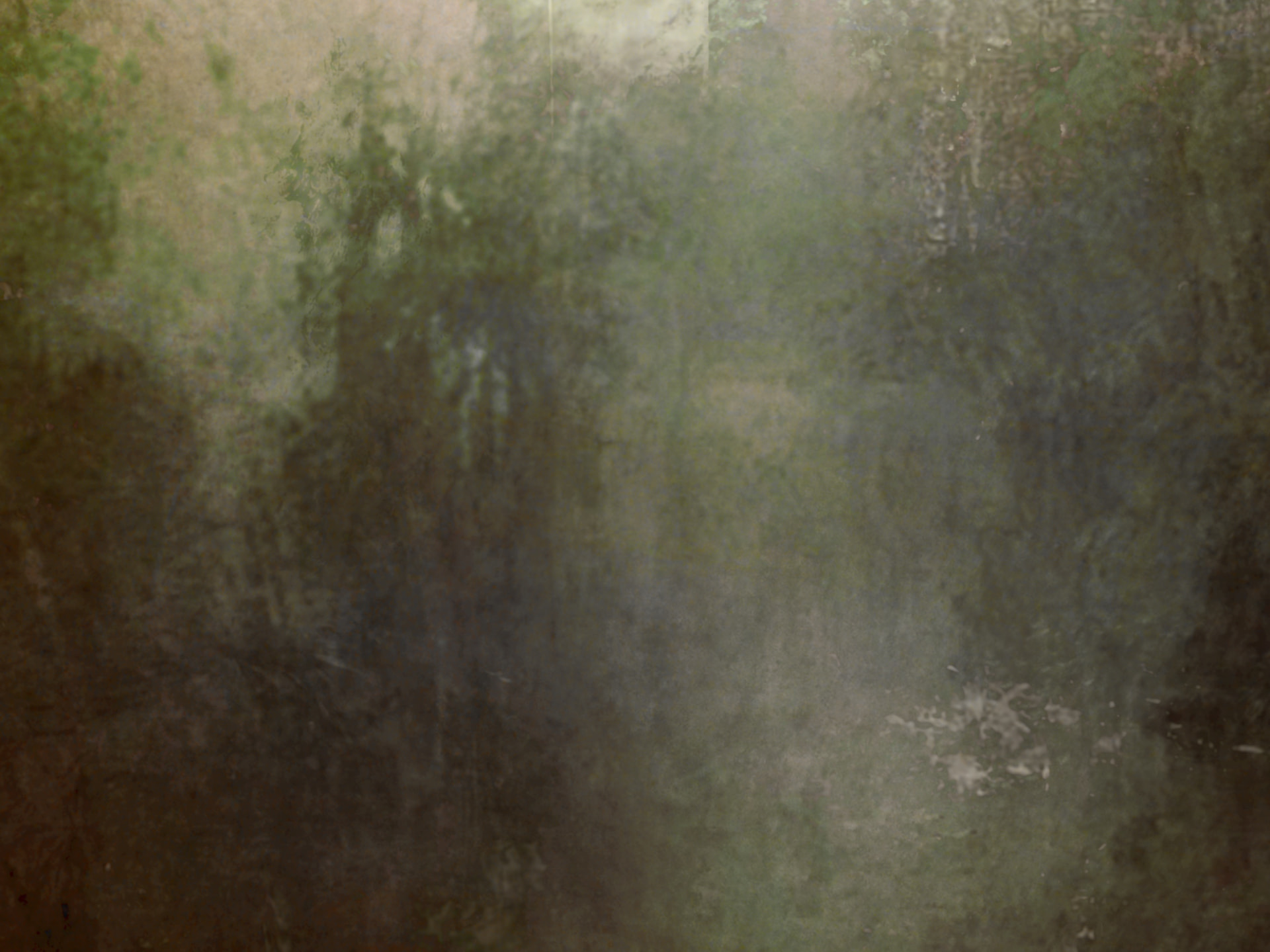 Genesis, Grace von Ivan Dimov