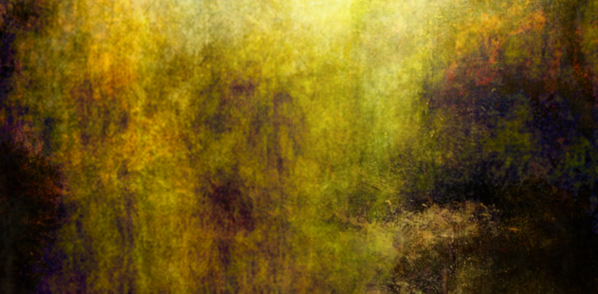 Genesis, Momentary von Ivan Dimov